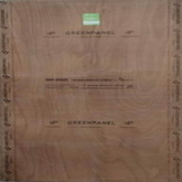 Trueliving_Greenpanel 8 ft x 4 ft Gold 710 BWP Grade Plywood - 25 mm_Plywood_ 226/Sq. Ft.